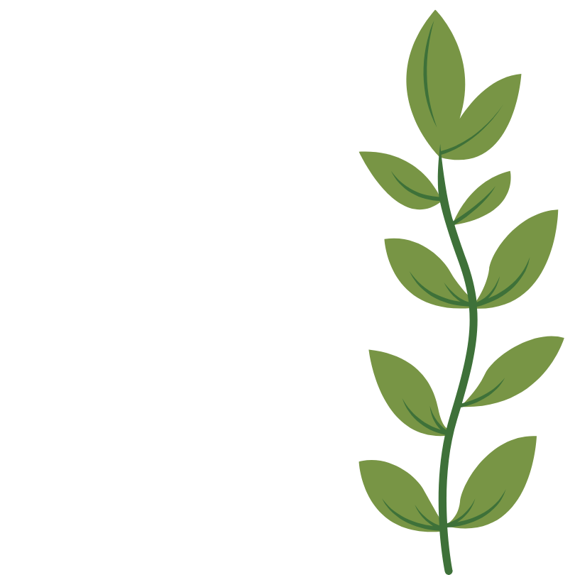 Decorative plant